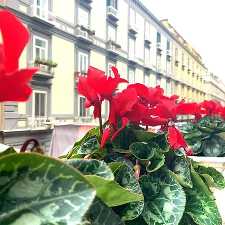 Des Artistes Naples